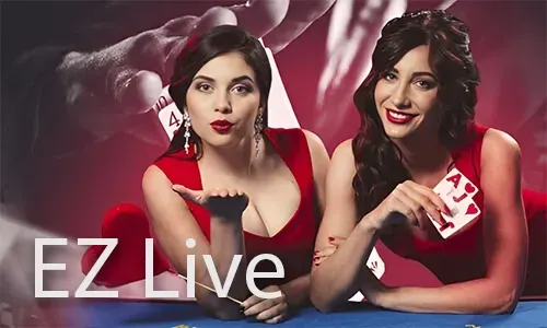Casino Promotions Guide